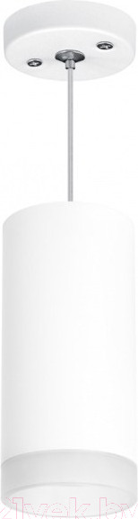 Изображение товара Потолочный светильник Lightstar Rullo RP648680