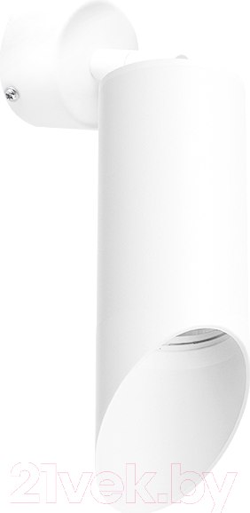 Изображение товара Спот Lightstar Rullo RB43636