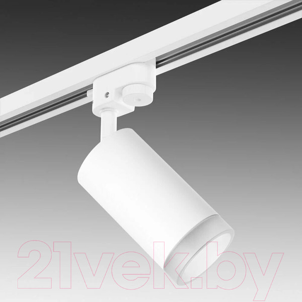 Изображение товара Трековый светильник Lightstar Rullo R1T43630