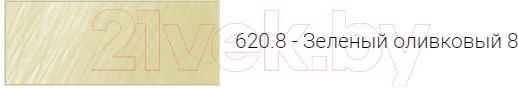 Изображение товара Пастель сухая Rembrandt 620.8 / 31996208 (оливковый)