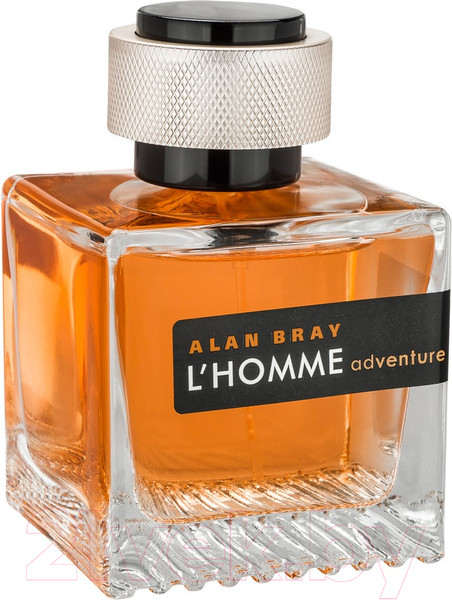 Изображение товара Туалетная вода Alan Bray L'Homme Adventure for Men (100мл)