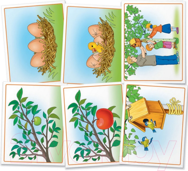 Изображение товара Развивающие карточки Айрис-пресс Бельчонок 6+