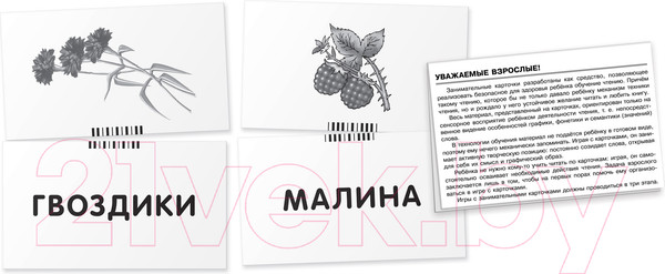 Изображение товара Развивающие карточки Айрис-пресс Собака. Читаем слова-слоги (Штец А.)