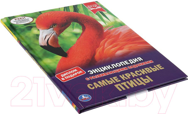 Изображение товара Энциклопедия Умка Самые красивые птицы