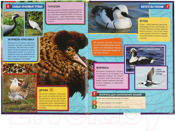 Изображение товара Энциклопедия Умка Самые красивые птицы