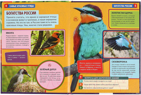 Изображение товара Энциклопедия Умка Самые красивые птицы
