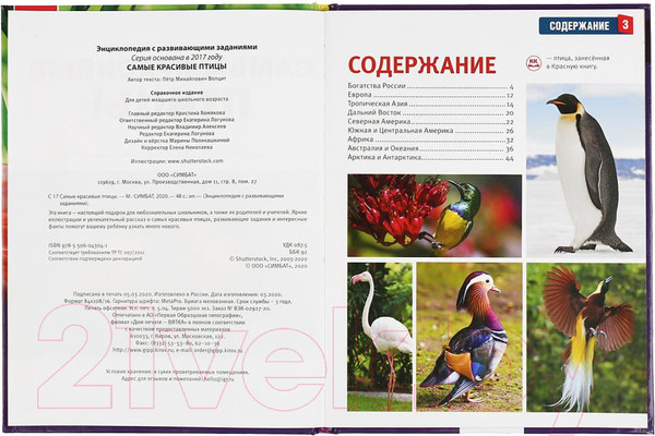 Изображение товара Энциклопедия Умка Самые красивые птицы