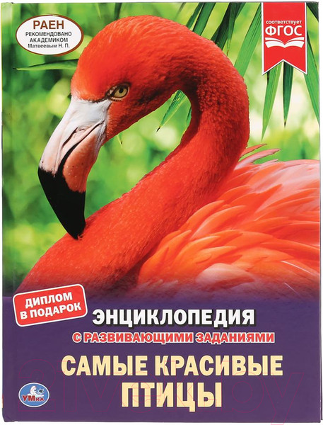 Изображение товара Энциклопедия Умка Самые красивые птицы