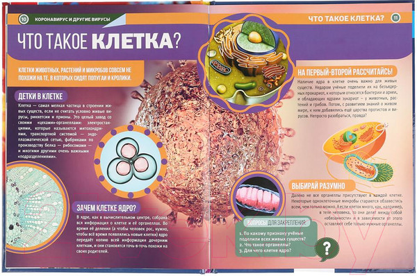 Изображение товара Энциклопедия Умка Коронавирус и другие вирусы