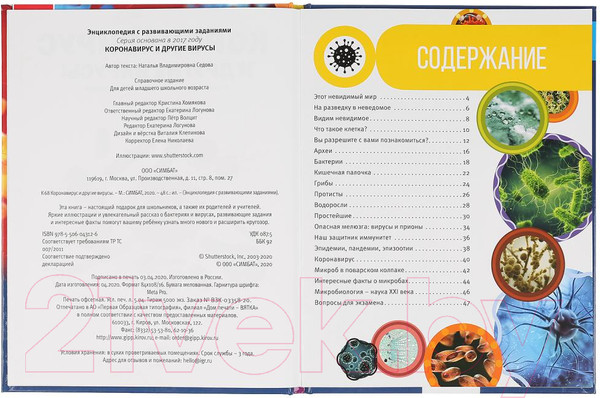 Изображение товара Энциклопедия Умка Коронавирус и другие вирусы