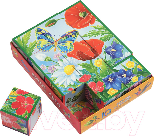 Изображение товара Развивающая игра Айрис-пресс Умные кубики в поддончике. Яркое лето