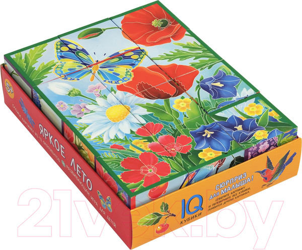 Изображение товара Развивающая игра Айрис-пресс Умные кубики в поддончике. Яркое лето
