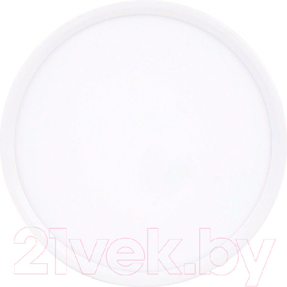 Изображение товара Потолочный светильник Ambrella DLR316