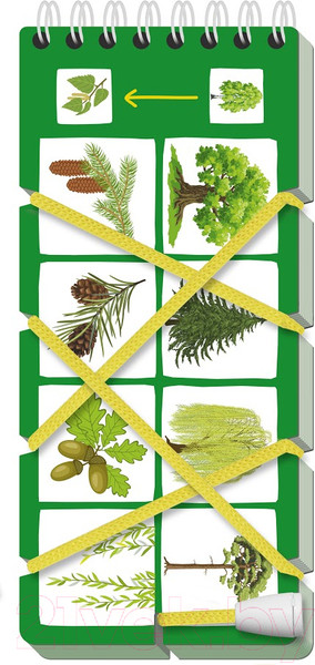 Изображение товара Развивающая книга Айрис-пресс Игры со шнурком. Необыкновенные растения