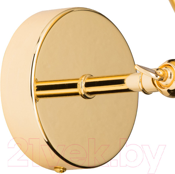 Изображение товара Бра Lightstar Dumo 816611