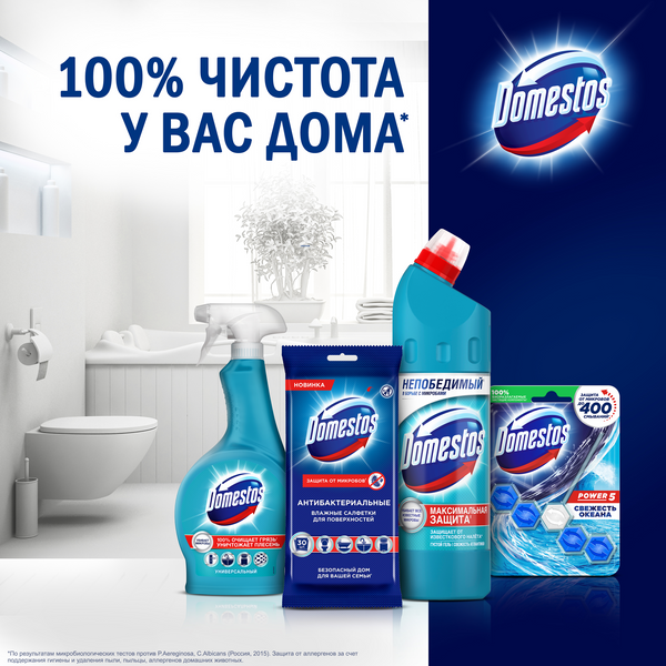 Изображение товара Средство для устранения засоров Domestos Для труб (750мл)