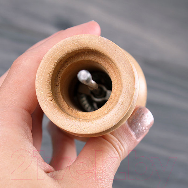 Изображение товара Мельница для специй Darvish DV-H-219