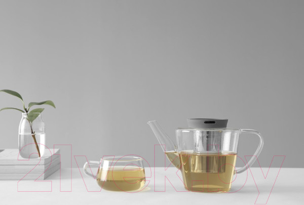 Изображение товара Заварочный чайник Viva Scandinavia Infusion V27833