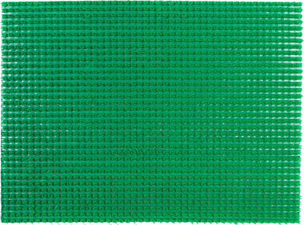 Изображение товара Коврик грязезащитный SunStep 45x60 / 75-196 (зеленый)