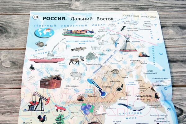 Изображение товара Атлас АСТ Мой первый атлас мира с наклейками