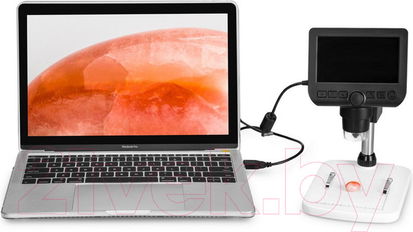 Изображение товара Микроскоп цифровой Levenhuk DTX 350 LCD / 74768