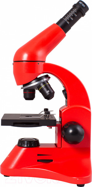 Изображение товара Микроскоп оптический Levenhuk Rainbow 50L Plus / 69055 (Orange)