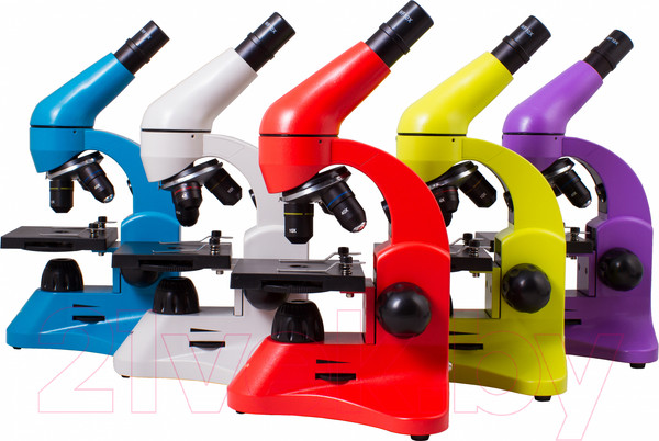 Изображение товара Микроскоп оптический Levenhuk Rainbow 50L / 69046 (Moonstone)