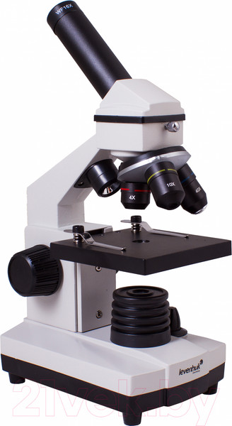 Изображение товара Микроскоп оптический Levenhuk Rainbow 2L Plus / 69041 (Moonstone)