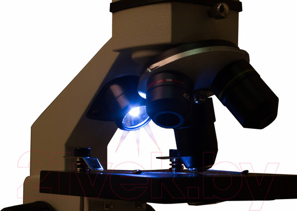 Изображение товара Микроскоп оптический Levenhuk Rainbow 2L Plus / 69041 (Moonstone)