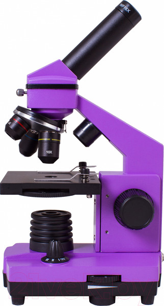Изображение товара Микроскоп оптический Levenhuk Rainbow 2L Plus / 69042 (Amethyst)