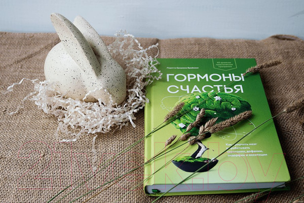 Изображение товара Нехудожественная книга МИФ Гормоны счастья / 9785001467359 (Бройнинг Л.)