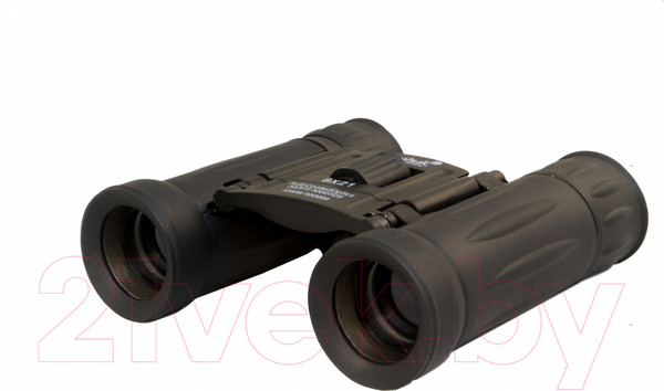 Изображение товара Бинокль Levenhuk Atom 8x21 / 67675