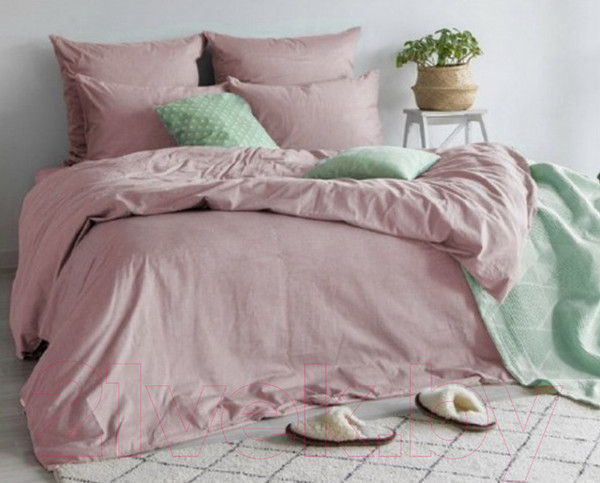 Изображение товара Комплект постельного белья Нордтекс Absolut 2040 50/70 (Desert rose)