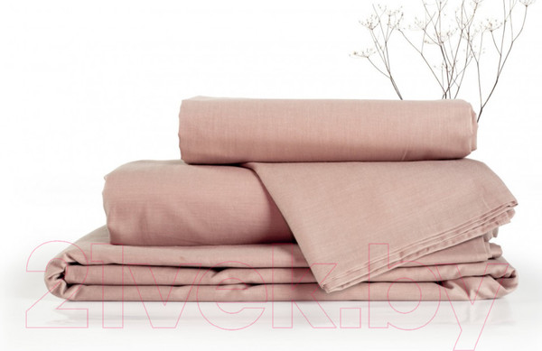 Изображение товара Комплект постельного белья Нордтекс Absolut 2040 50/70 (Desert rose)