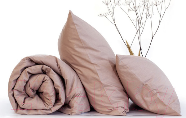 Изображение товара Комплект постельного белья Нордтекс Absolut 2040 50/70 (Desert rose)