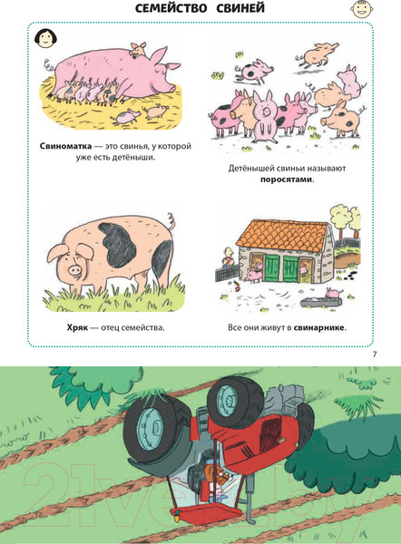 Изображение товара Энциклопедия Эксмо Почему корова дает молоко? (Соваж Ж.)