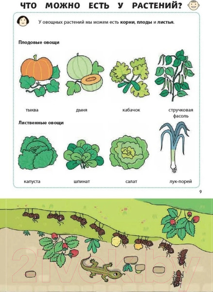 Изображение товара Энциклопедия Эксмо Почему трава зеленая? (Соваж Ж.)