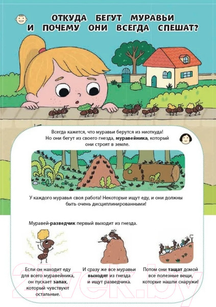 Изображение товара Энциклопедия Эксмо Почему трава зеленая? (Соваж Ж.)