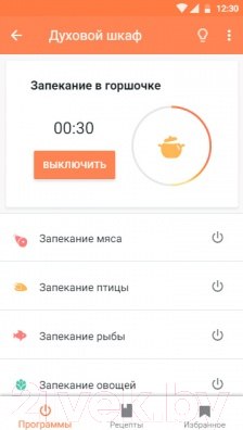 Изображение товара Ростер Redmond Skyoven RO-5706S