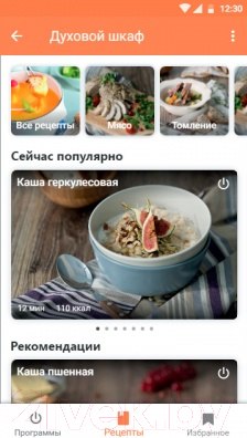 Изображение товара Ростер Redmond Skyoven RO-5706S