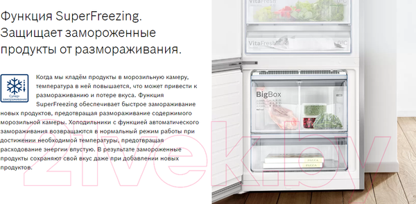 Изображение товара Холодильник с морозильником Bosch Serie 6 VitaFresh Plus KGN39AW32R