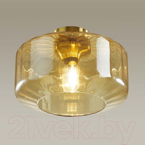 Изображение товара Потолочный светильник Odeon Light Binga 4747/1C