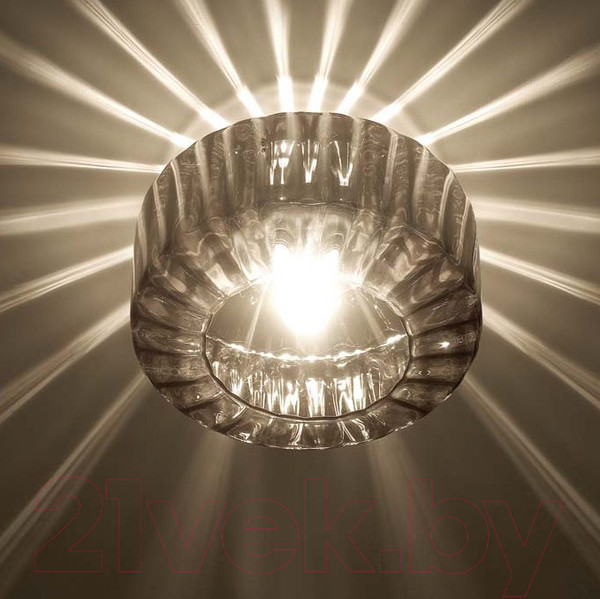 Изображение товара Потолочный светильник Odeon Light Binga 4746/1C