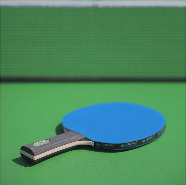 Изображение товара Ракетка для настольного тенниса Donic Schildkrot Color Z (синий)