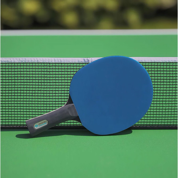 Изображение товара Ракетка для настольного тенниса Donic Schildkrot Color Z (синий)