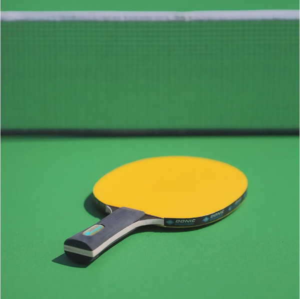 Изображение товара Ракетка для настольного тенниса Donic Schildkrot Color Z (желтый)
