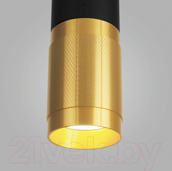 Изображение товара Потолочный светильник Elektrostandard DLN108 GU10 (черный/золотистый)