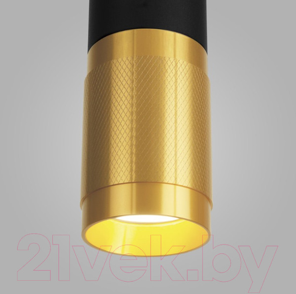 Изображение товара Потолочный светильник Elektrostandard DLN108 GU10 (черный/золотистый)