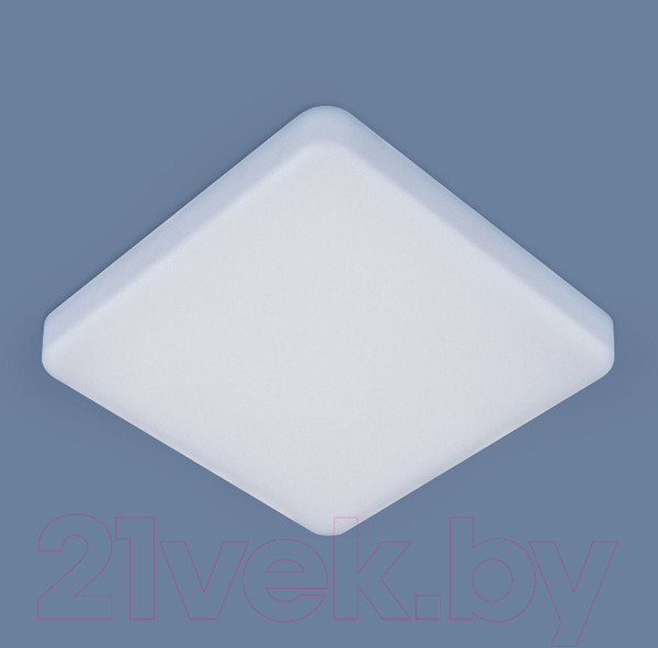 Изображение товара Потолочный светильник Elektrostandard DLS043 10W 4200K