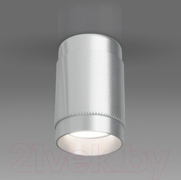 Изображение товара Точечный светильник Elektrostandard DLN109 GU10 (серебристый)